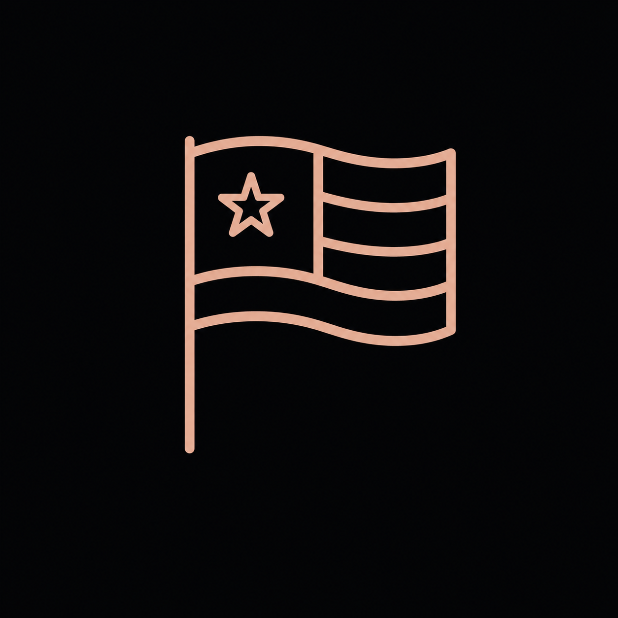 Made in the USA icon