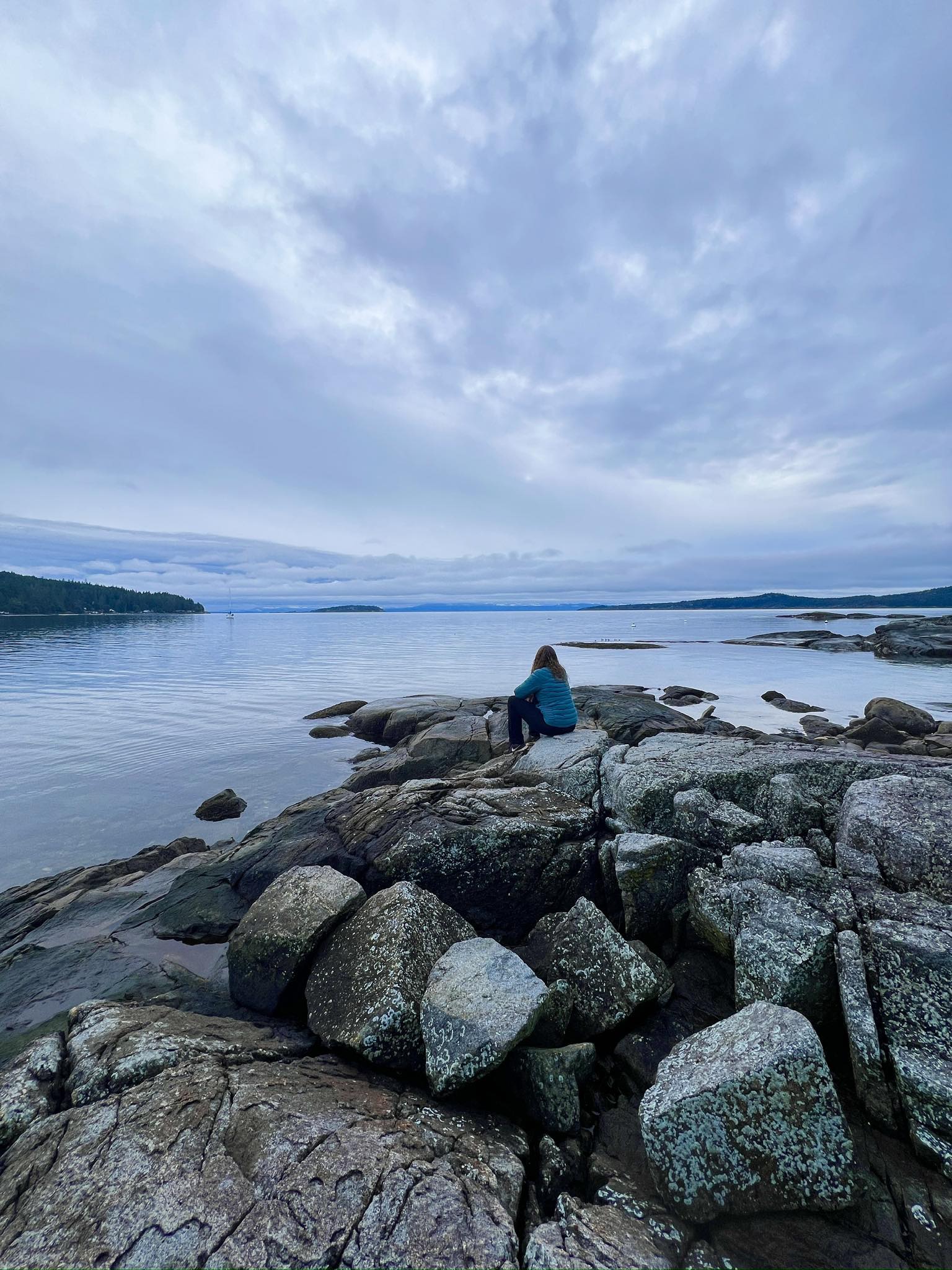High-End Minimalist Office Greenery