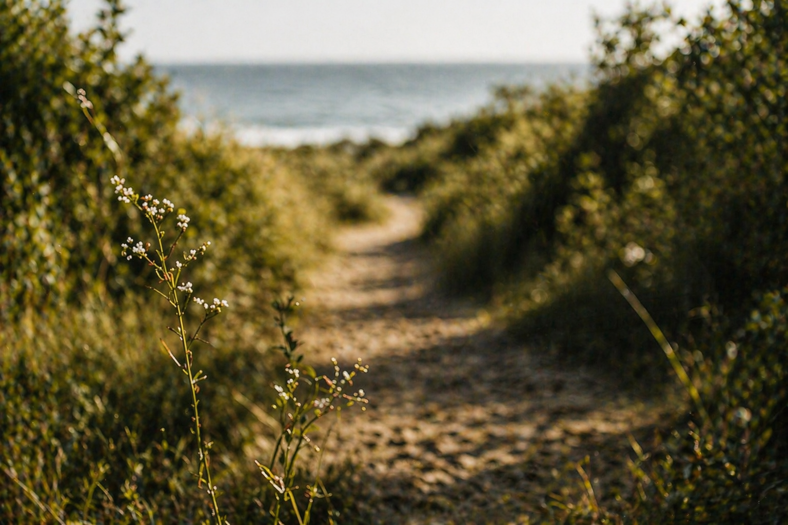 Elevated Greenery Workspace