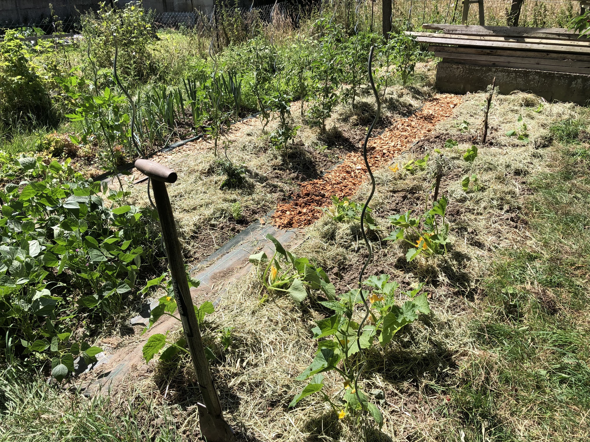 Potager Home Farmer