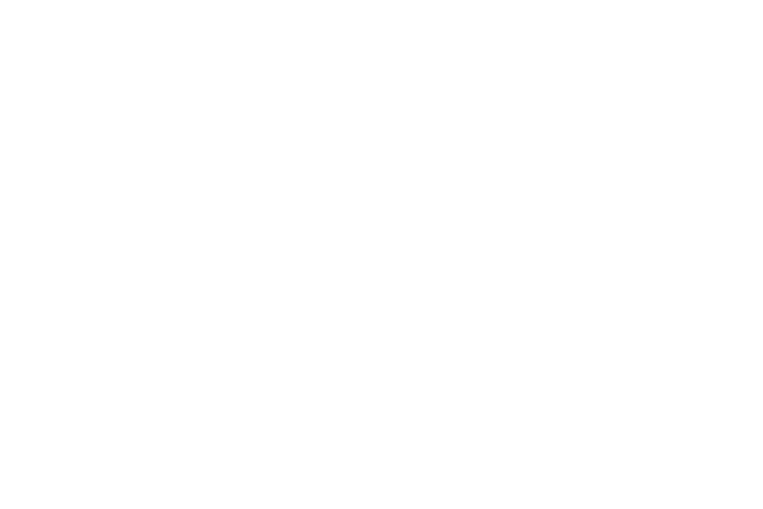 Beauty Biz Pro