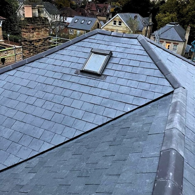 Recent roof project