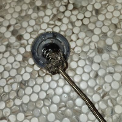 Garbage Disposal Fishers