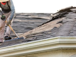 {{ custom_values.service_4 }} in {{custom_values.area_2})