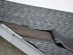 {{ custom_values.service_3 }} in {{custom_values.area_2})