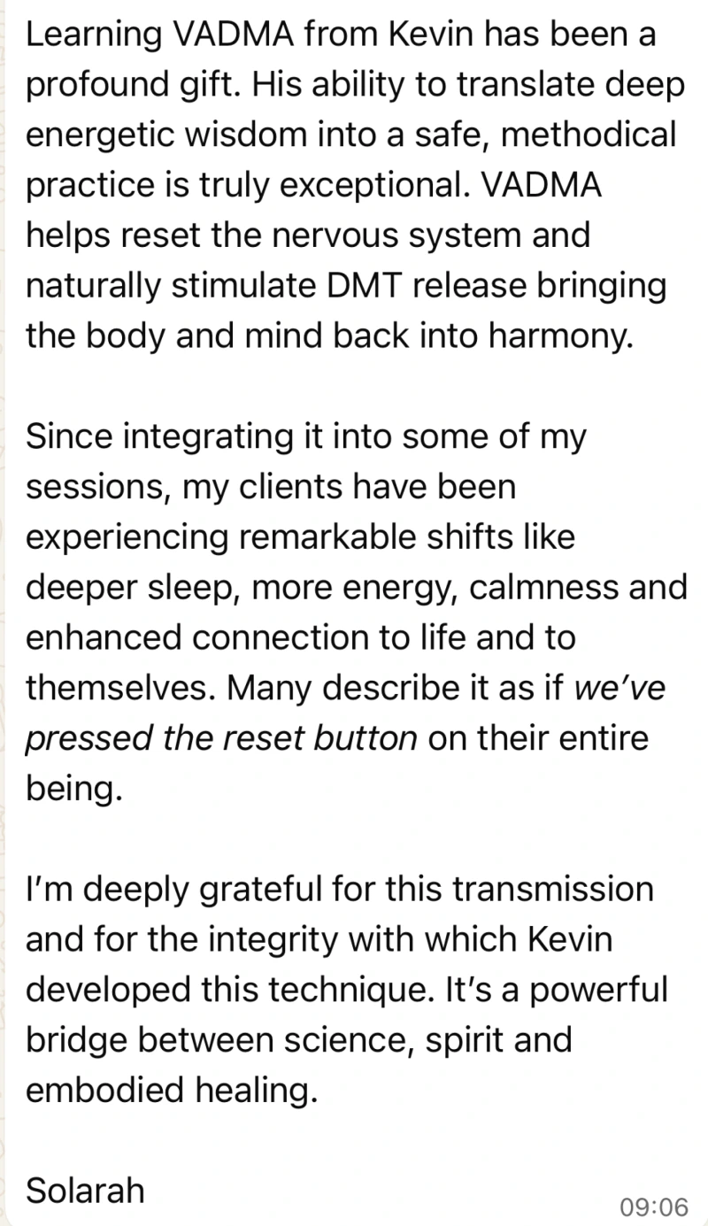 Unedited client message describing a Vādma nervous system reset