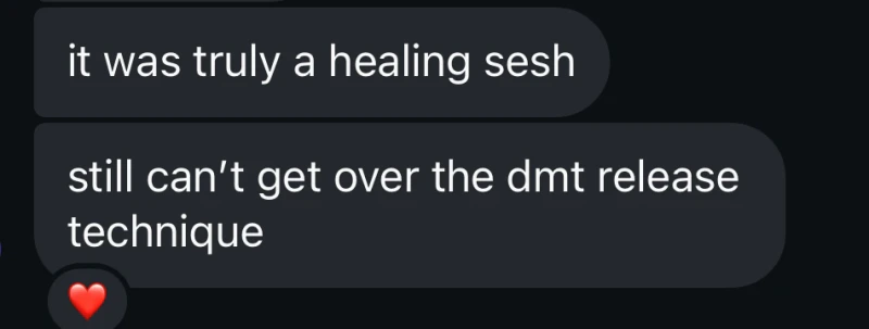 Unedited client message describing a Vādma nervous system reset