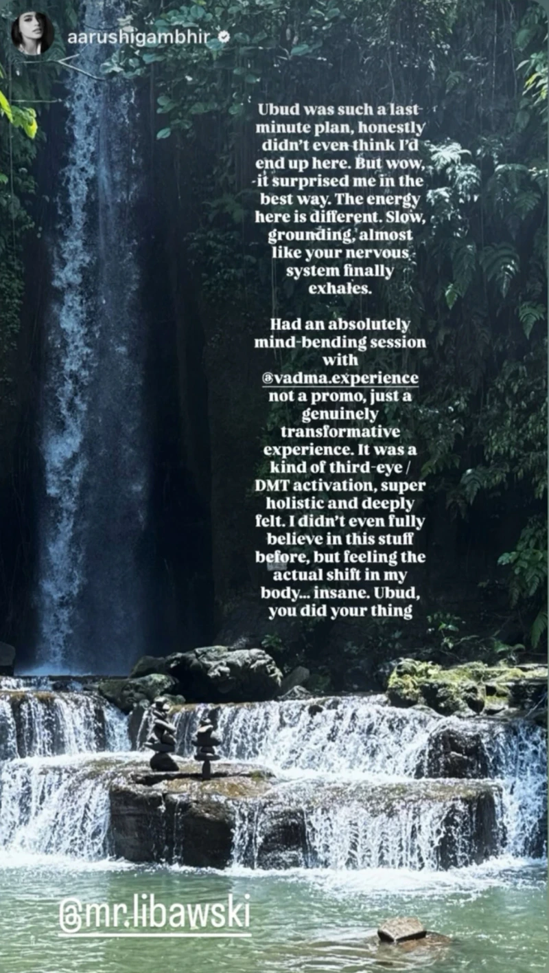 Unedited client message describing a Vādma nervous system reset