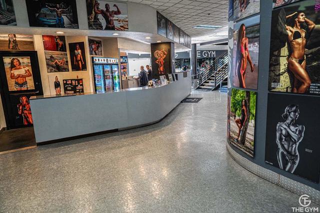 Gallery Image 9