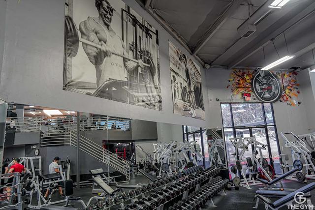Gallery Image 6