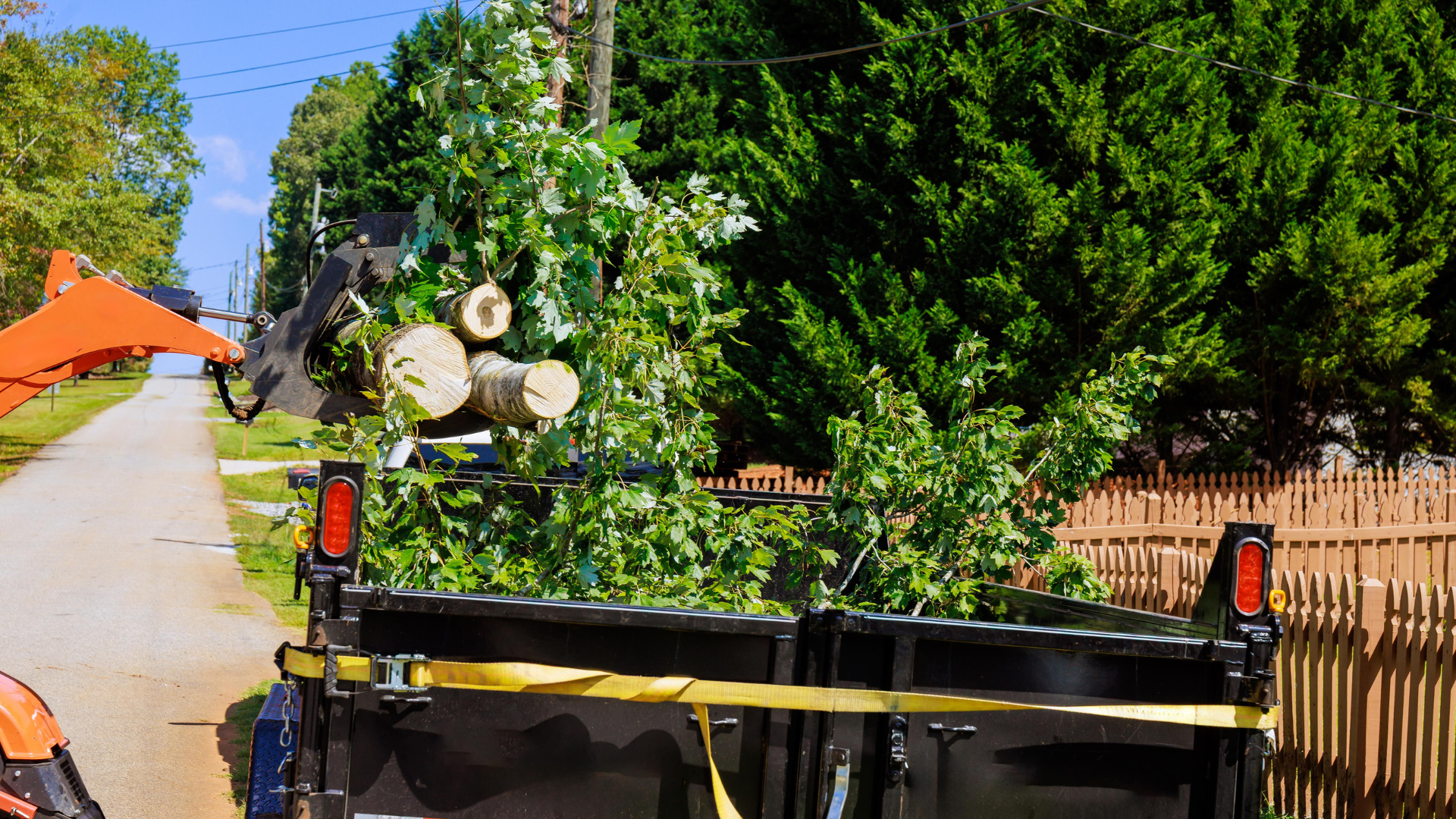Yard & Outdoor Debris Removal