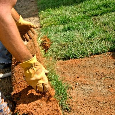 "Close-up of a landscaper aligning sod pieces during lawn installation."