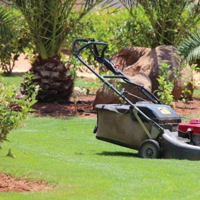 Lawn mower maintaining vibrant grass in a landscaped garden.