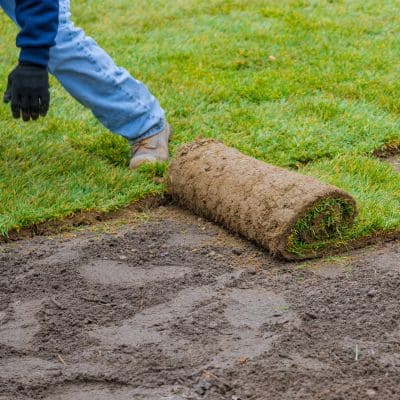 Professional sod installation for a fresh, healthy lawn.