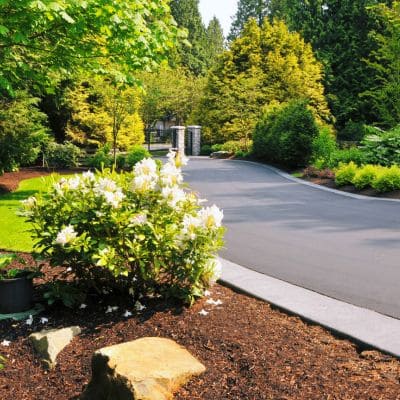 Driveway surrounded by vibrant landscaping and mulched flower beds.