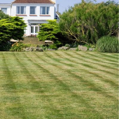 Freshly mowed lawn showcasing professional lawn maintenance.