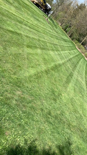 Commercial landscaping