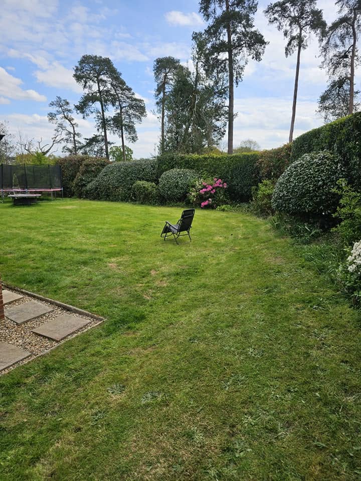Freshly mowed lawn with neat stripes