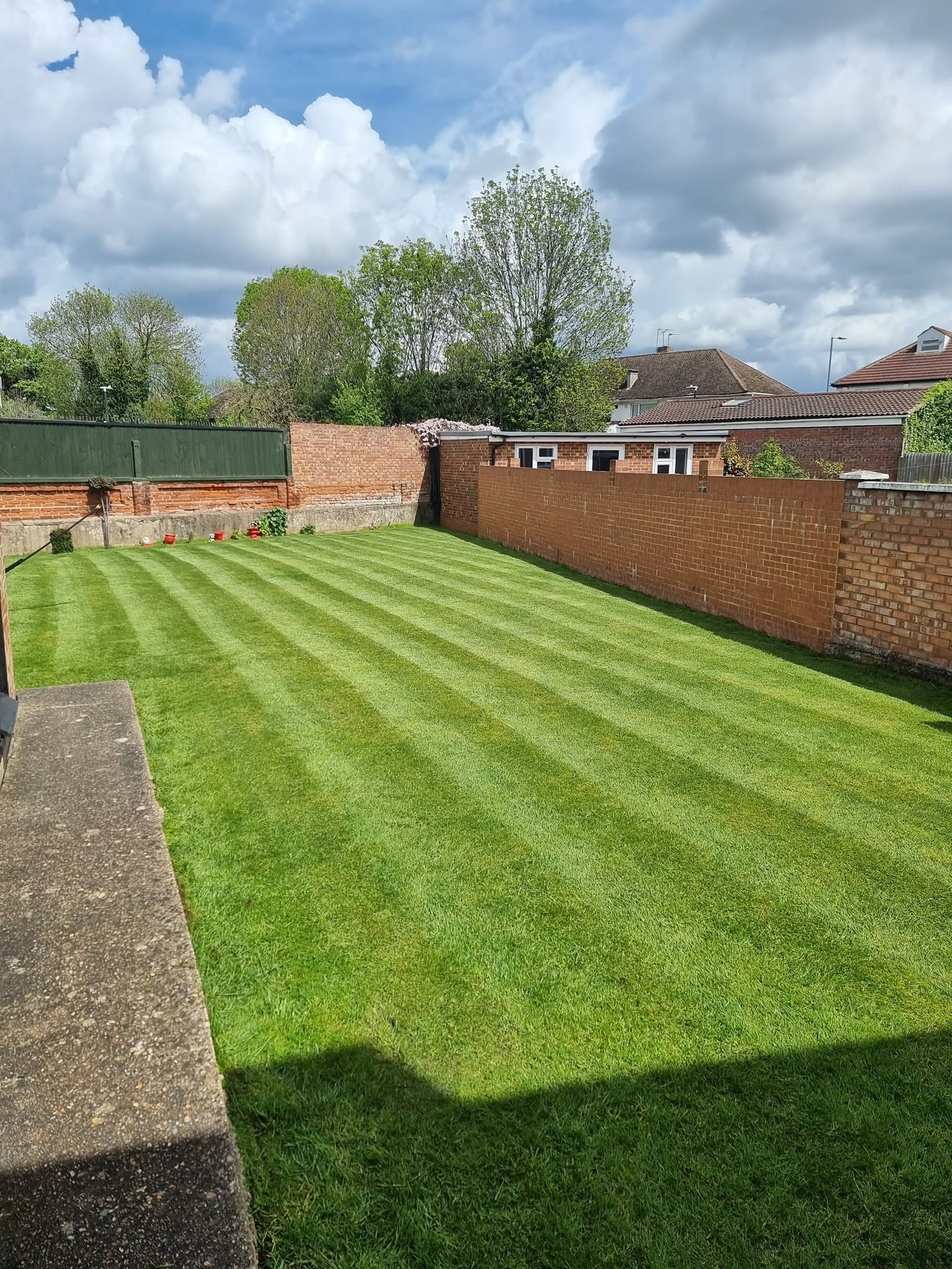 Newly installed wooden garden fence