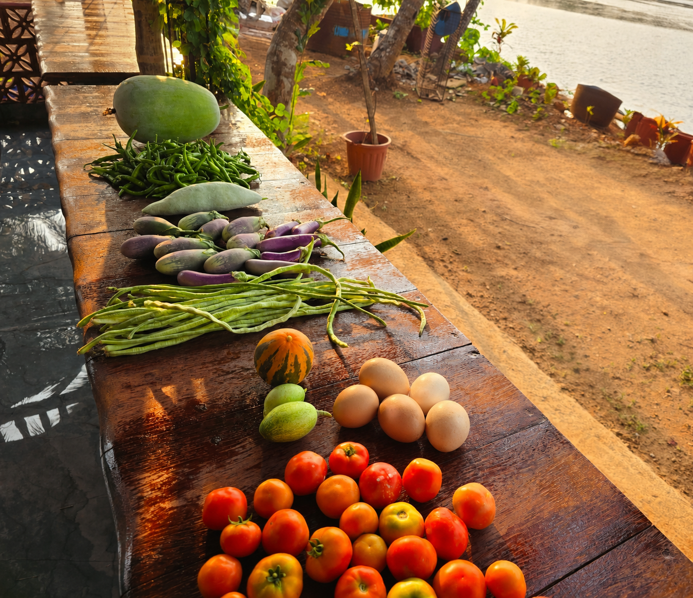 Farm harvest with eggs at Cheliya Water Village