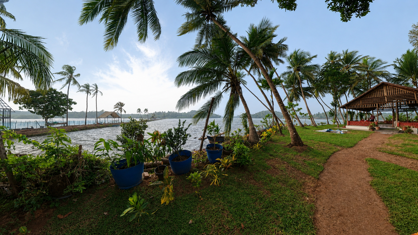 Palm trees and river view at Cheliya Water Village