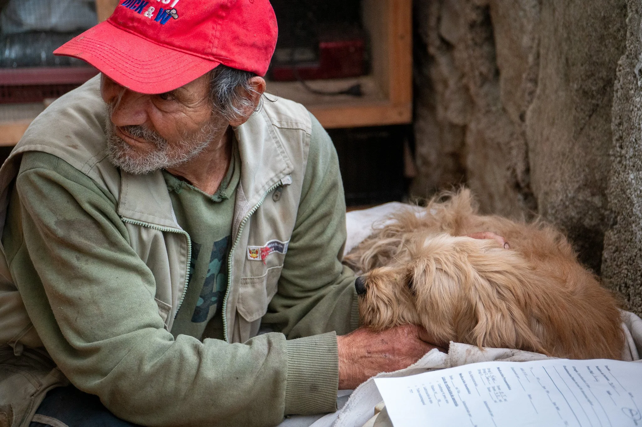 An elderly man in a red cap gently holds a sleeping golden dog during a community veterinary visit