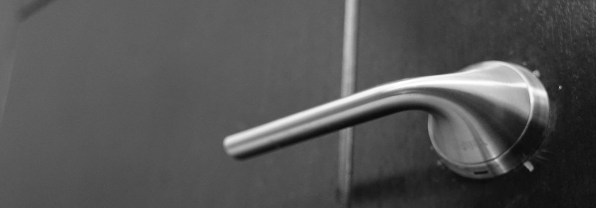 Stainless steel lever handle on a commercial door