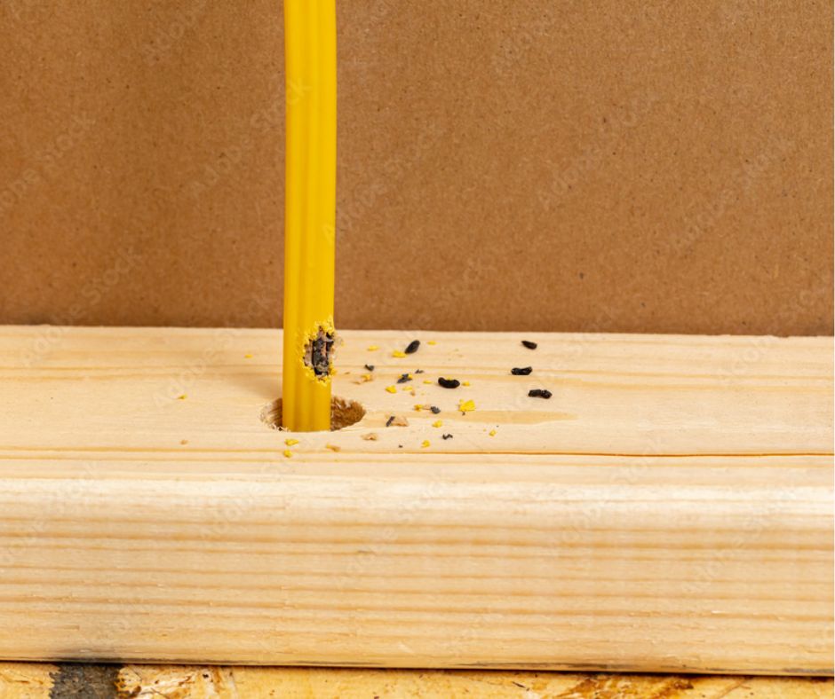 Rodent droppings and grease marks along a baseboard indicating frequent pest travel along walls.