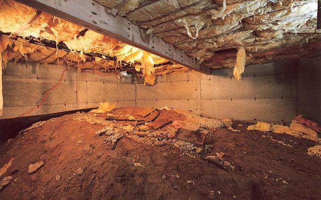 Organic debris accumulation in a crawl space where moisture can create odor problems.