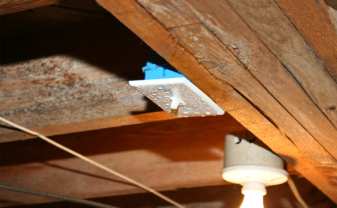 Crawl space with condensation and moisture buildup under a home in a humid Pacific Northwest environment.