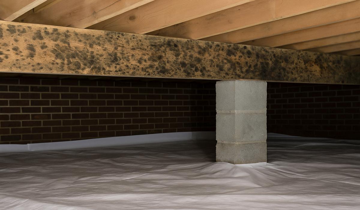 crawl space with early signs of moisture buildup