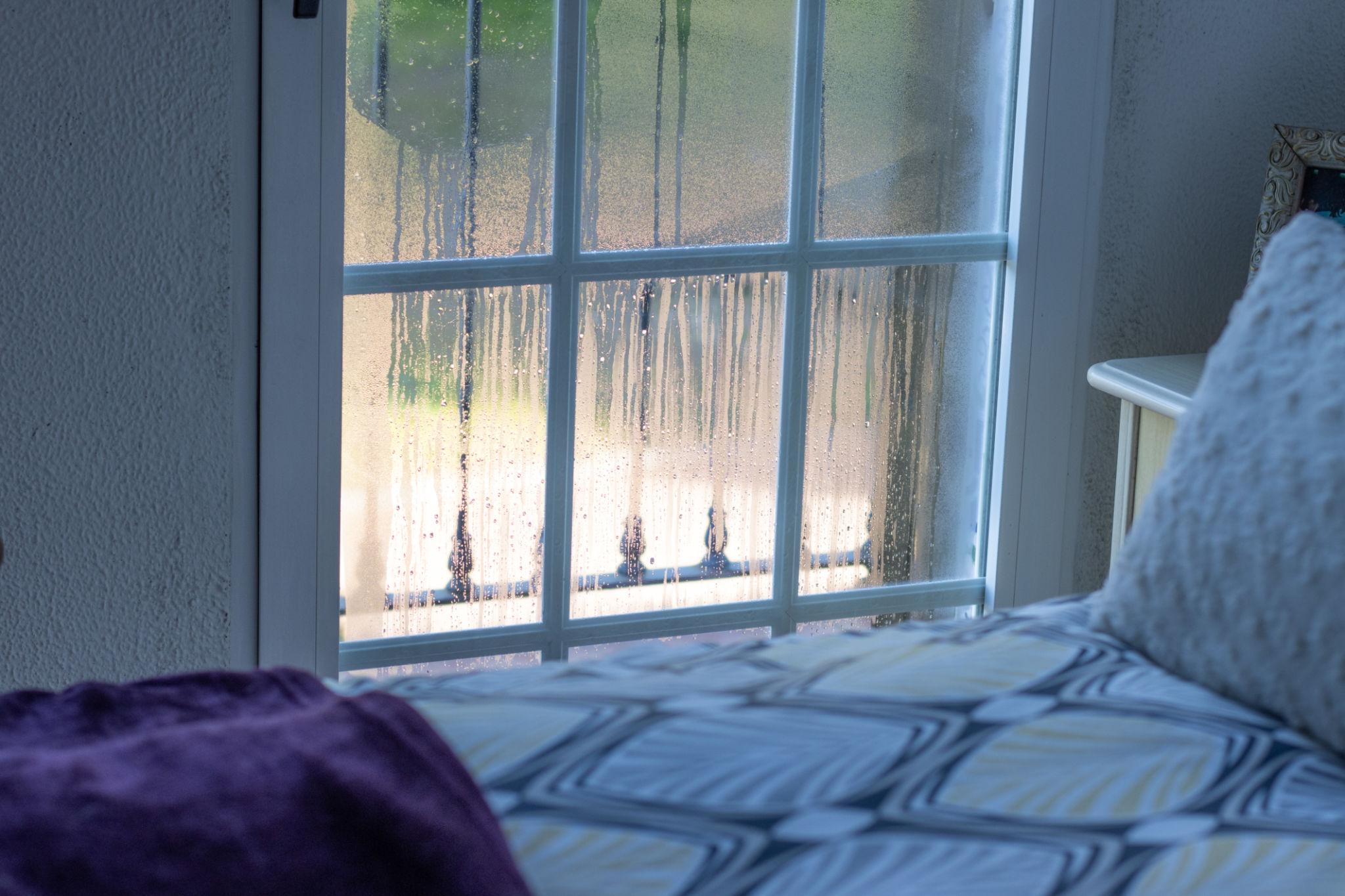 condensation on residential window inside Tacoma home