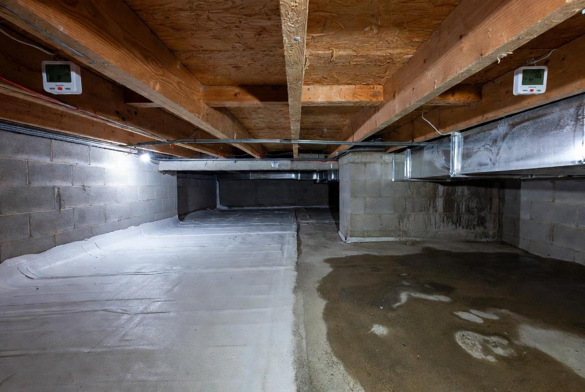 under house ground showing mild early-stage dampness
