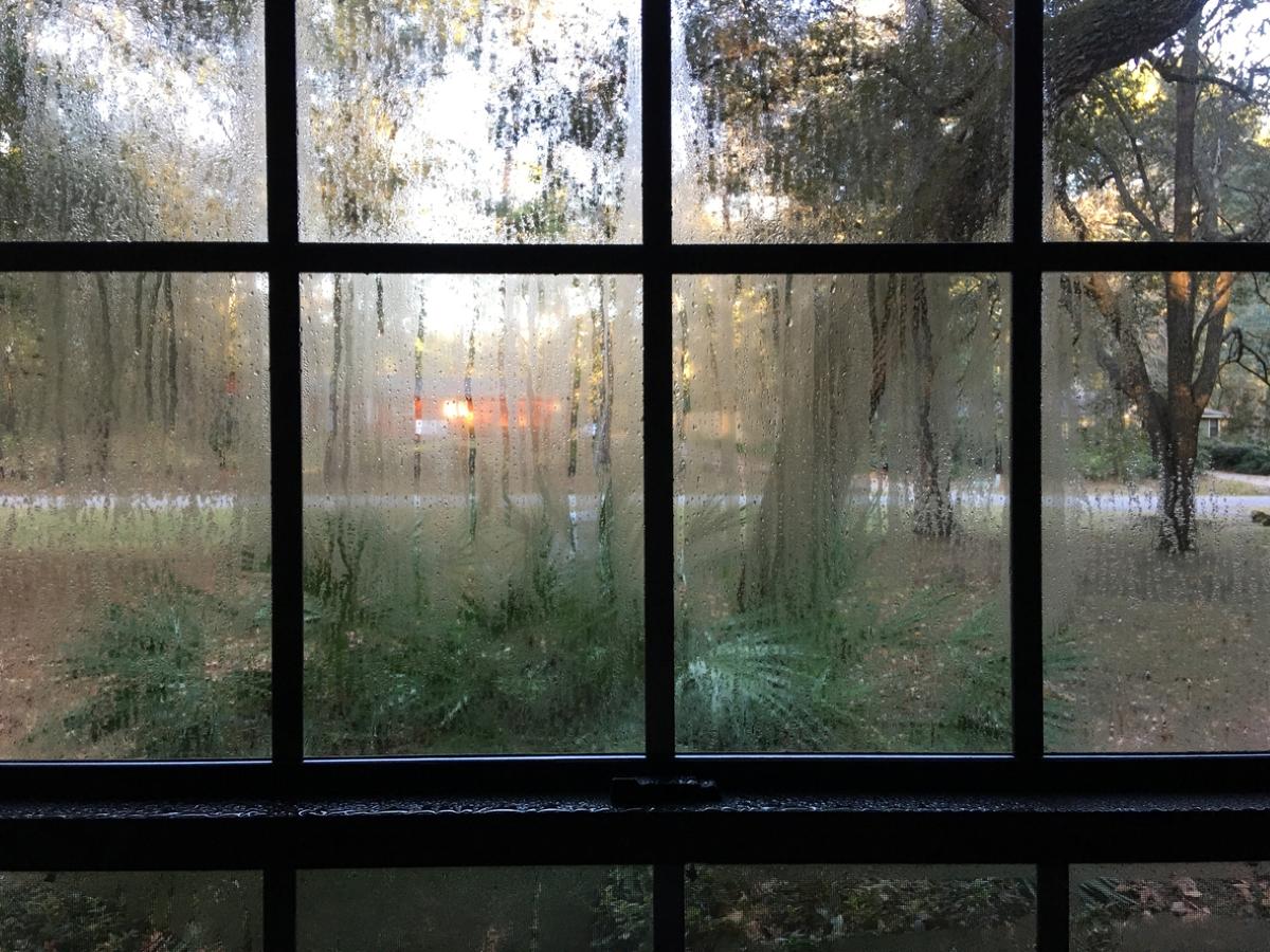 condensation on window inside Tacoma home