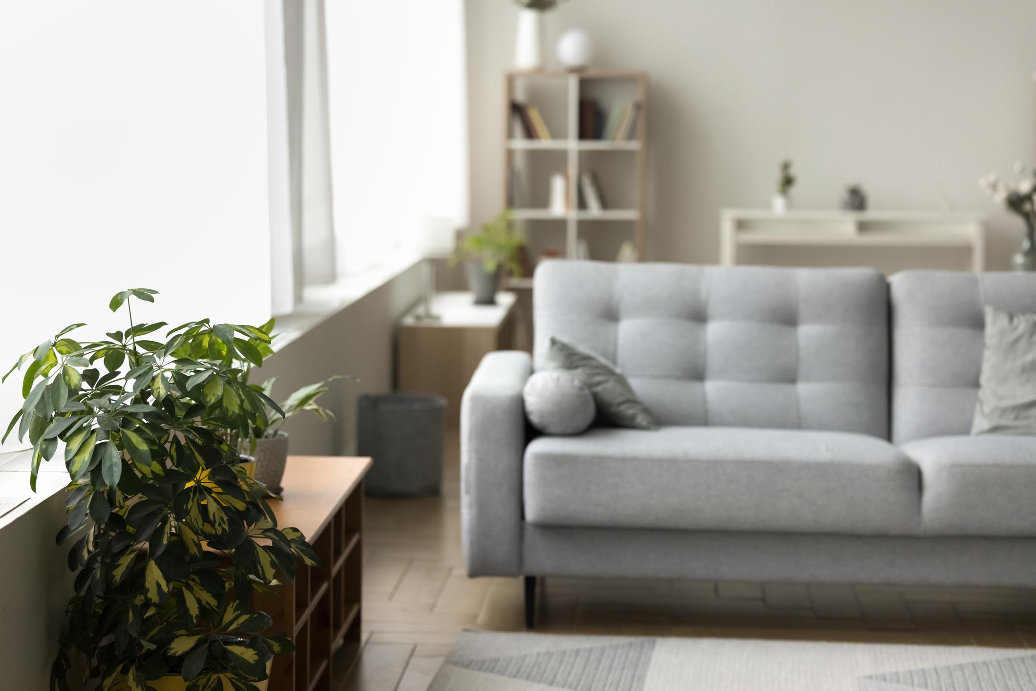 residential living space with hidden air quality influences