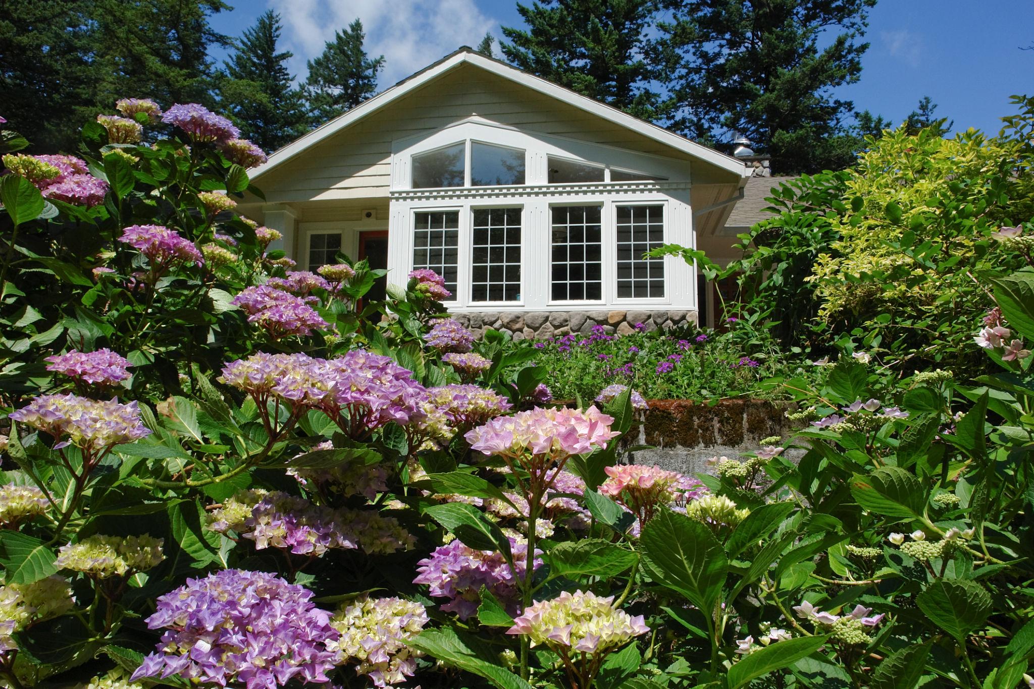 residential property with vegetation surrounding the home residential property with vegetation surrounding the home