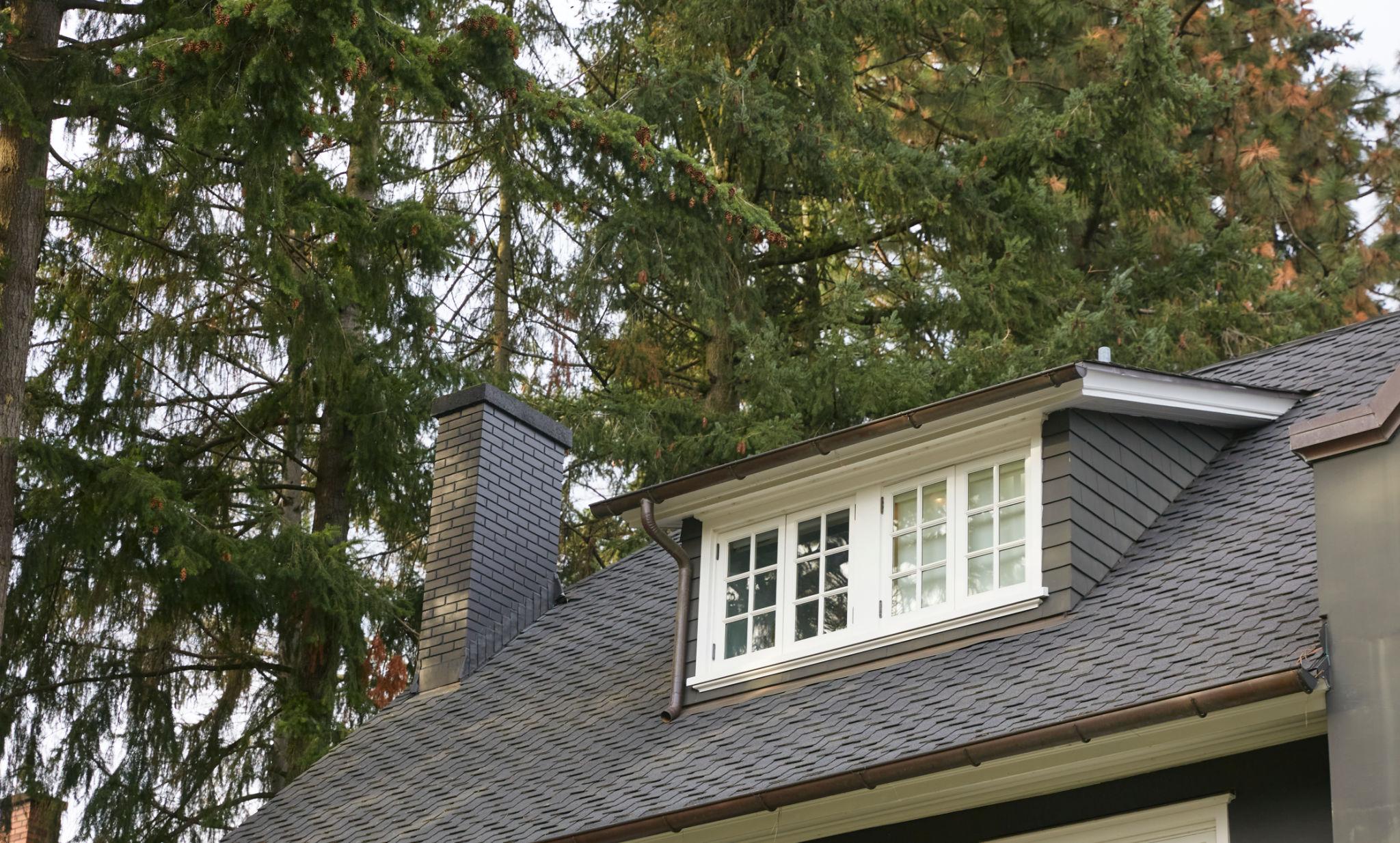 Pacific Northwest home roofline beneath mature evergreen trees
