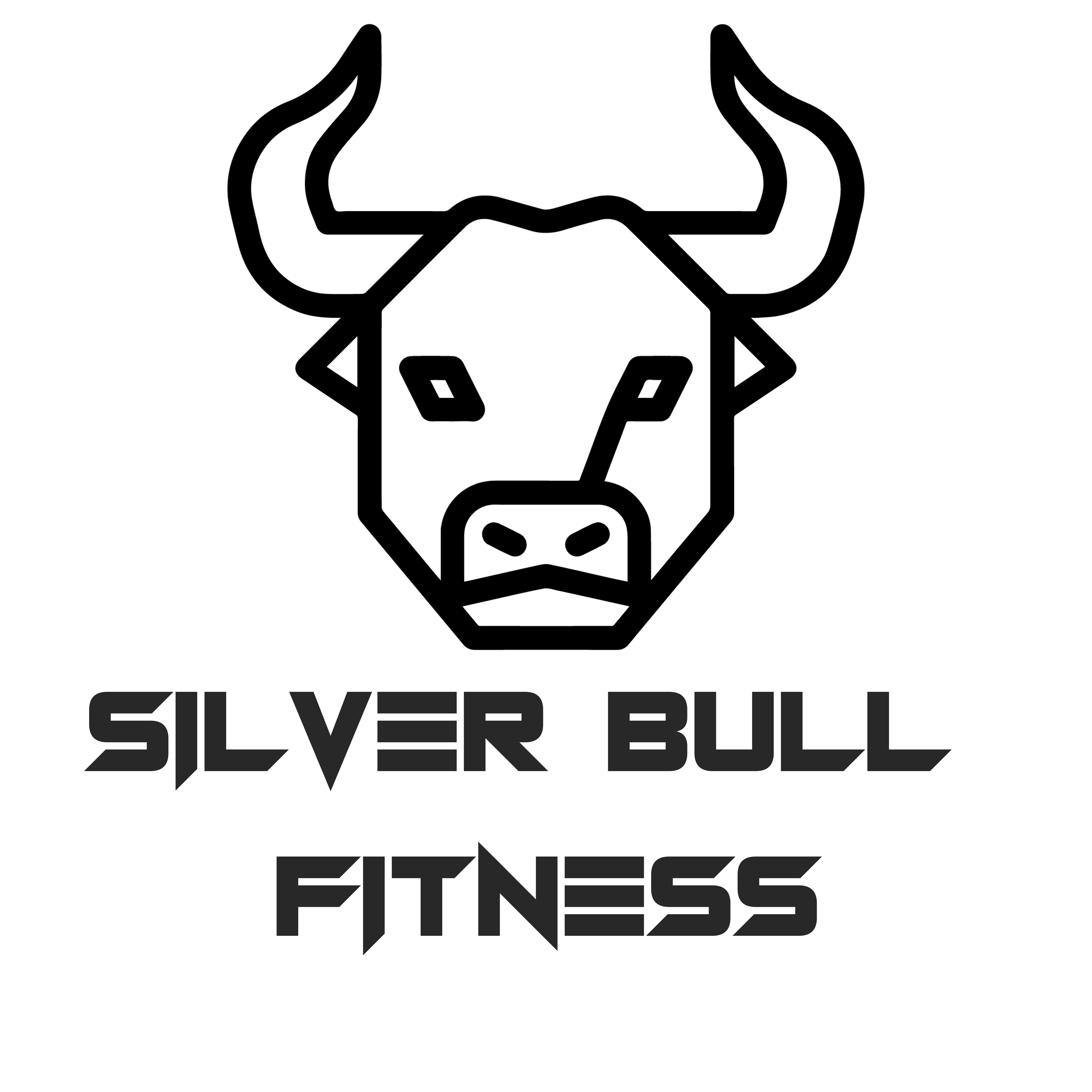 Silver Bull Fitness