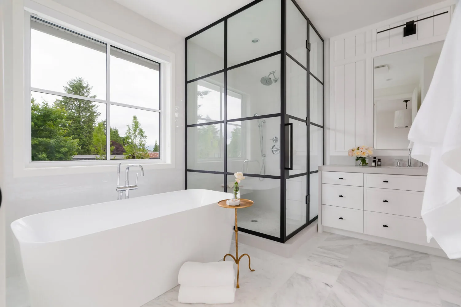 Shaan Professional Painting project