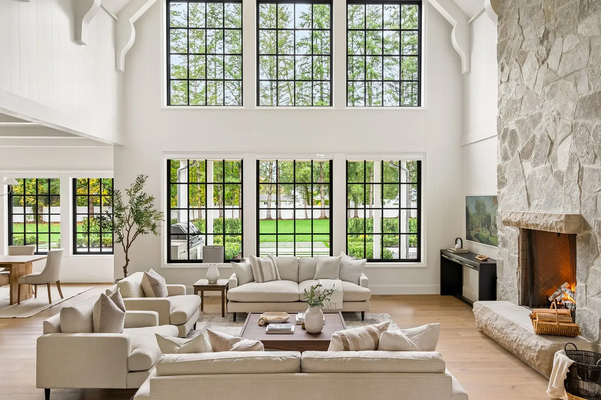 Shaan Professional Painting project