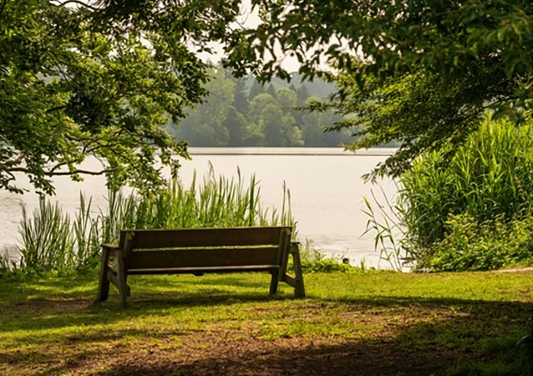 Ruhige Bank am See