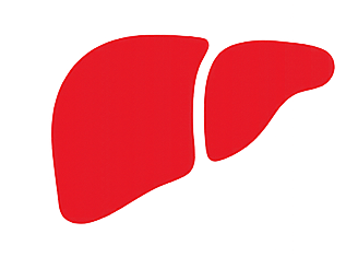 Fatty Liver