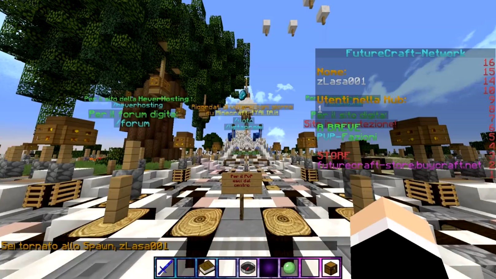 Server Minecraft in-game