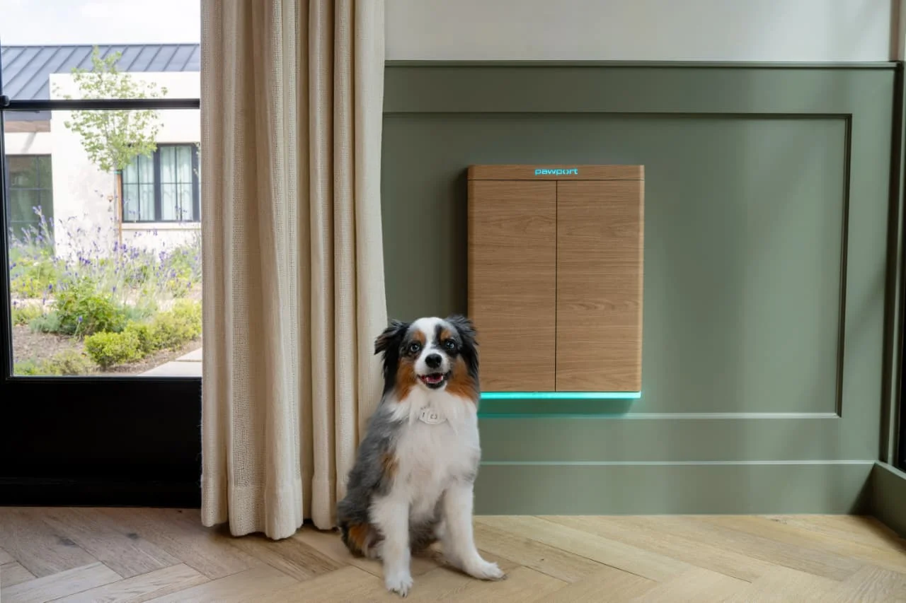 A happy Australian Shepherd sits beside a modern wooden smart pet door system with glowing LED lights.