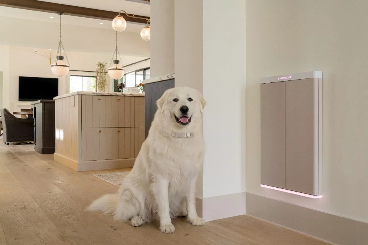 A large white dog in a collar sits on hardwood floors next to a sleek, modern, in-wall pet door system.