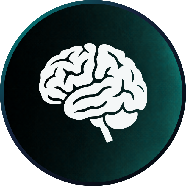 Nervous System