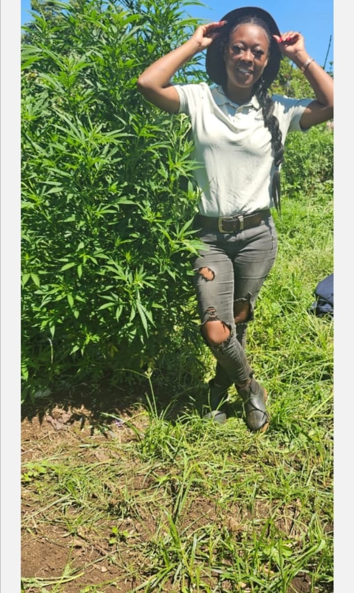Field team member beside hemp plant