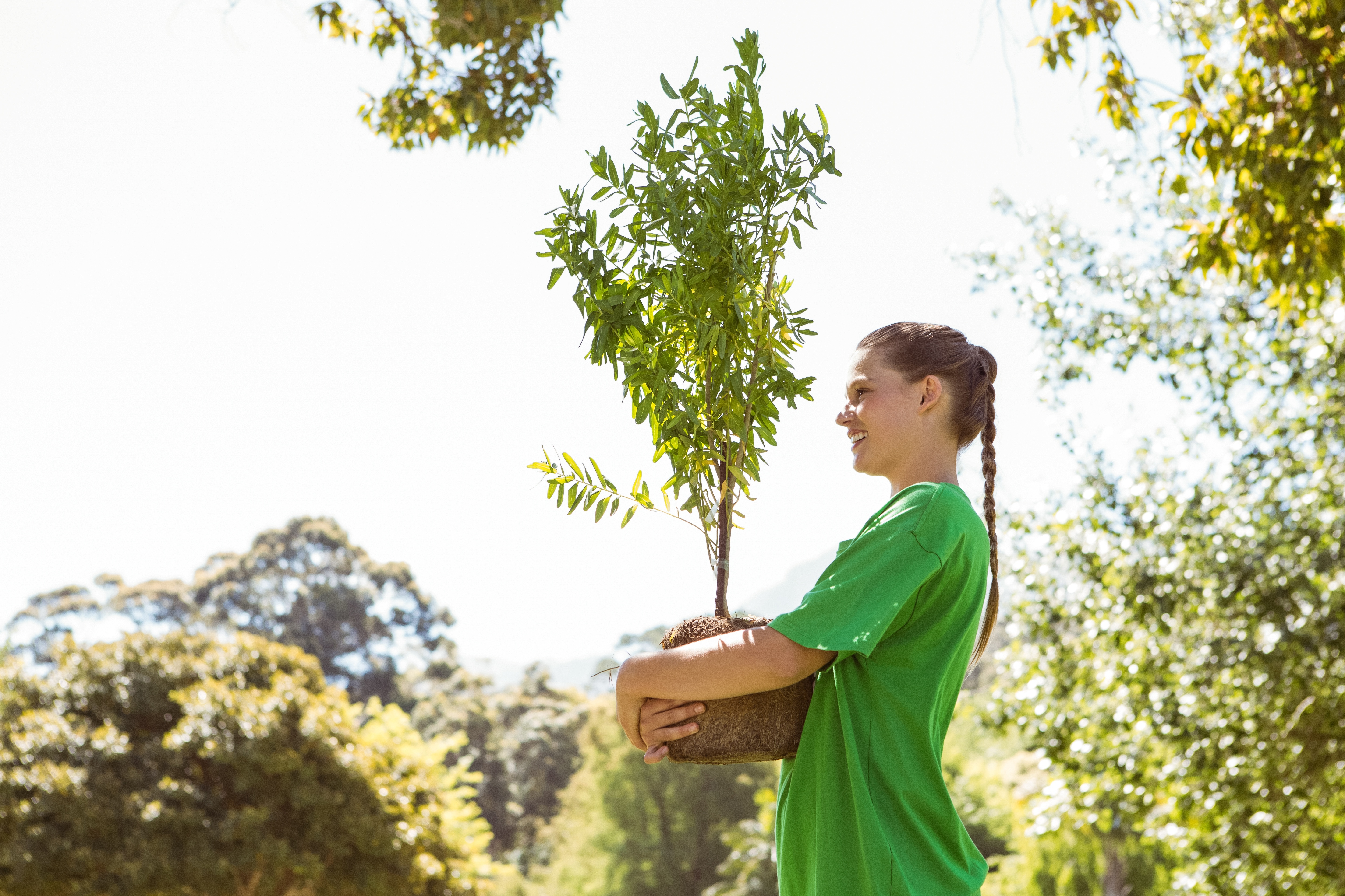 Carrying a tree to plant