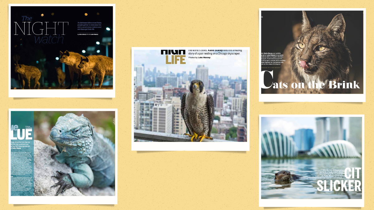 Published Magazine articles Published Magazine articles