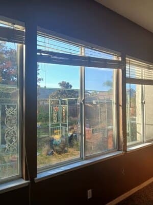 Standard Cleaning in Ventura